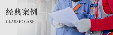 經典案(àn)例
